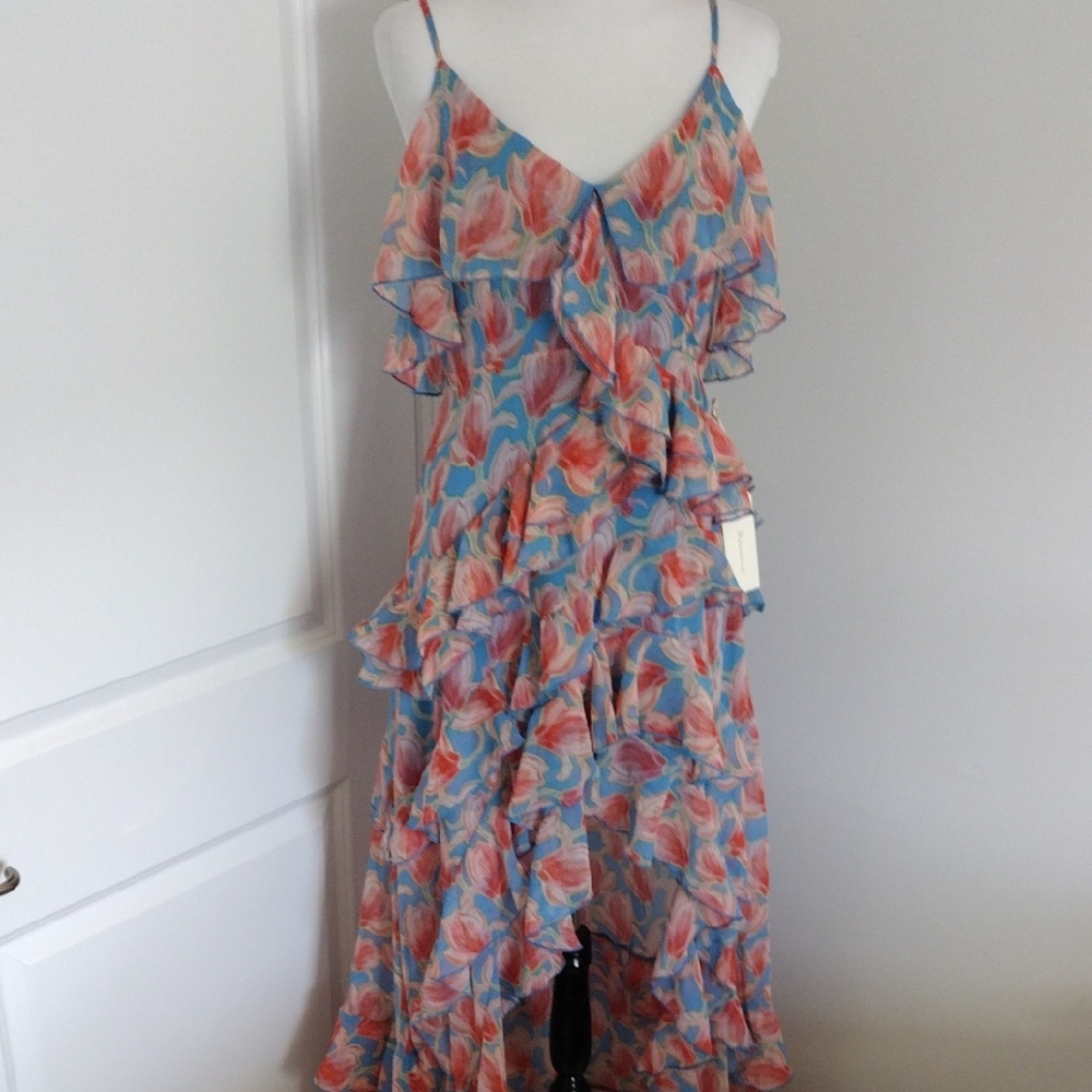 Velvet Blue and Red Floral Dress